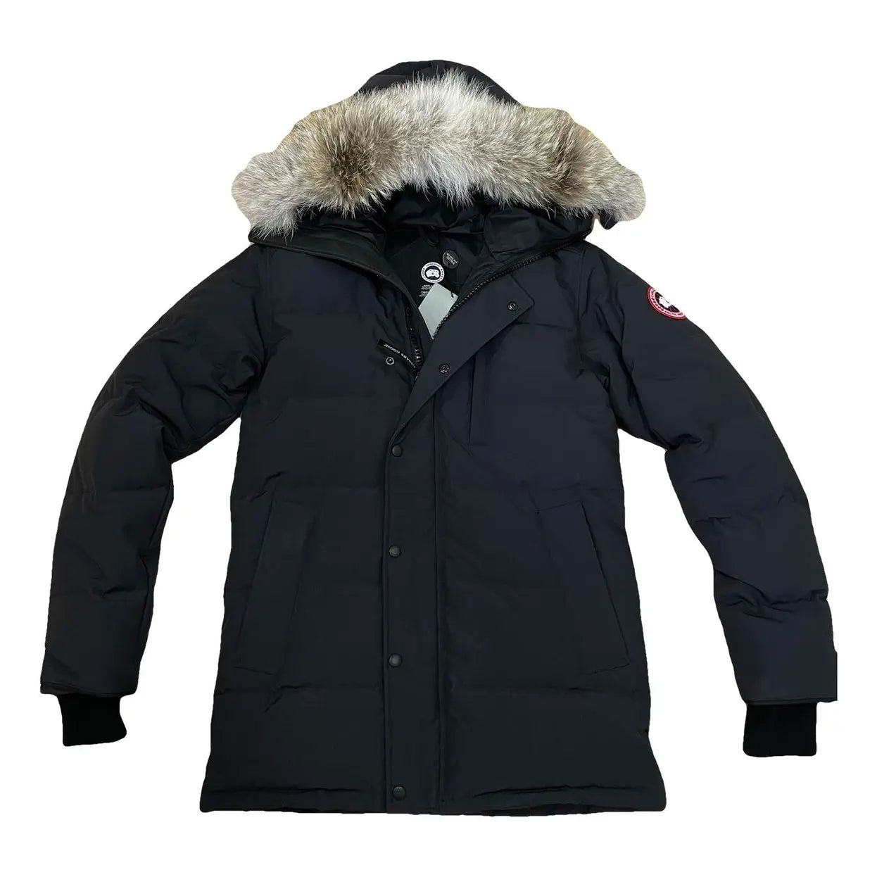 CG Navy Blue - red standaard bond