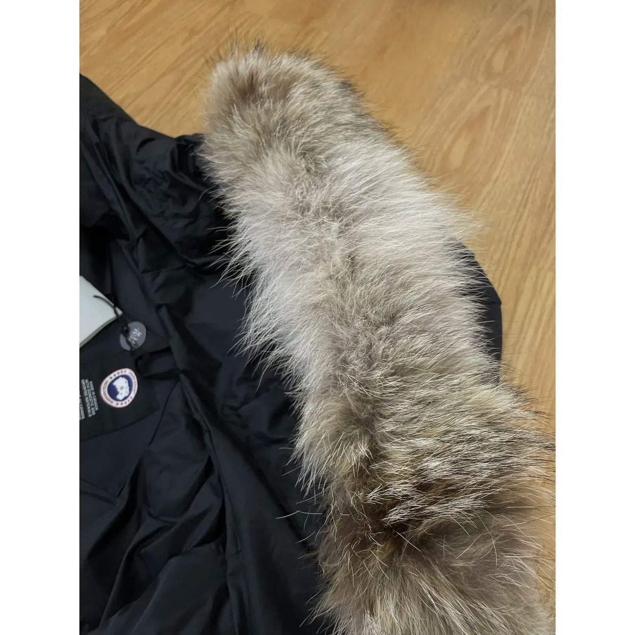 CG Navy Blue - red standaard bond